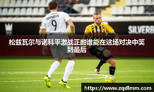 松兹瓦尔与诺科平激战正酣谁能在这场对决中笑到最后